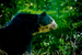 _mg_7262.jpg
