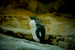 _mg_7416.jpg