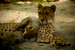 _mg_7516.jpg