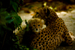 _mg_7604.jpg