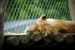 _mg_7790.jpg