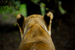 _mg_7792.jpg