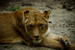 _mg_7848.jpg
