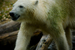 _mg_7863.jpg