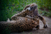 _mg_7922.jpg
