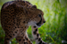 _mg_7939.jpg