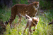 _mg_7953.jpg