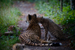 _mg_7989.jpg