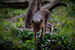 _mg_7995.jpg