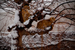 _mg_4302.jpg
