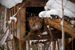 _mg_4450.jpg