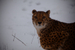 _mg_4580.jpg