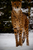 _mg_4588.jpg
