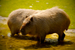 _mg_5803.jpg