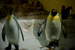 _mg_5874.jpg