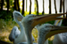 _mg_5901.jpg