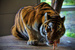_mg_8552.jpg