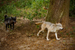 _mg_6178.jpg