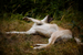 _mg_6323.jpg