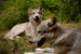 _mg_6411.jpg