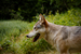 _mg_6413.jpg