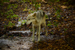 _mg_6568.jpg