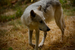_mg_6635.jpg