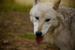 _mg_6690.jpg