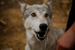 _mg_6721.jpg
