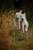 _mg_6753.jpg