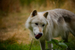 _mg_6829.jpg