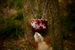 _mg_6872.jpg