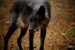 _mg_6937.jpg