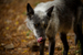_mg_6944.jpg