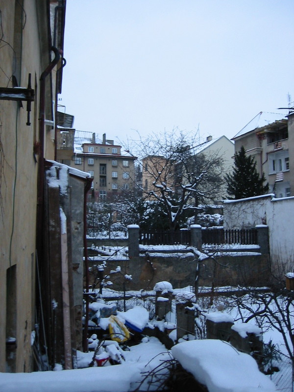 IMG_6886.JPG 