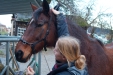 Thumbnail img_9052.jpg 