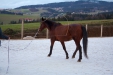 Thumbnail img_9056.jpg 