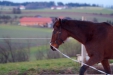 Thumbnail img_9059.jpg 