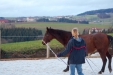 Thumbnail img_9064.jpg 
