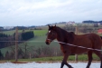 Thumbnail img_9065.jpg 