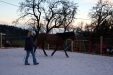 Thumbnail img_9087.jpg 