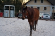 Thumbnail img_9088.jpg 