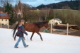 Thumbnail img_9095.jpg 