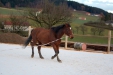 Thumbnail img_9096.jpg 