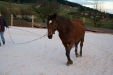 Thumbnail img_9097.jpg 