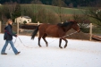 Thumbnail img_9098.jpg 
