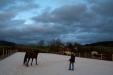 Thumbnail img_9100.jpg 