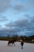 Thumbnail img_9101.jpg 