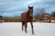 Thumbnail img_9107.jpg 