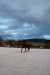Thumbnail img_9113.jpg 